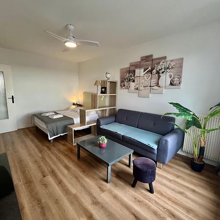 Appartement Rue Condorcet Parking Prive- Dabnb Limoges Bagian luar foto